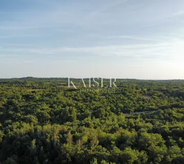 Vodnjan- građevinsko zemljište s dozvolom i projektom - cover