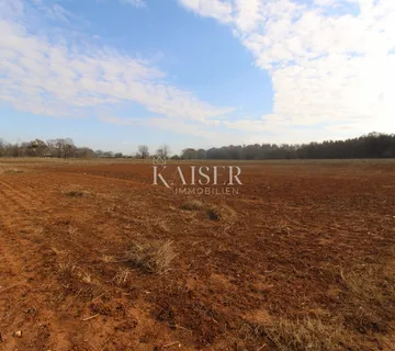 Istra - Poreč, atraktivno zemljište 500 m od centra Poreča -7326m2 - cover