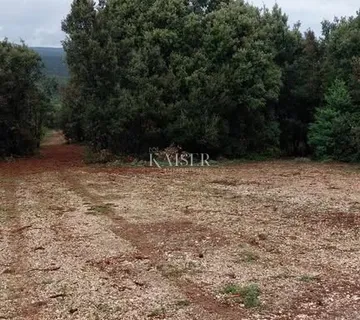 Otok Cres, Stivan, poljoprivredno zemljište 12.229 m2 - Stivan, Cres
