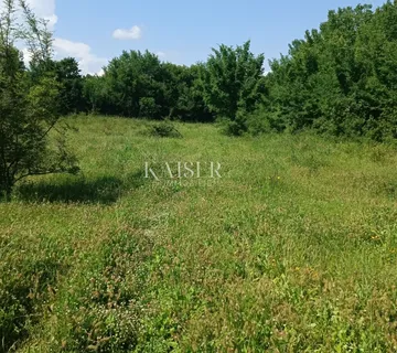 Istra - Barban - građevinsko zemljište s dozvolom, 1040 m2 - cover