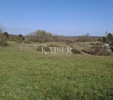 Istra, Pazin - poljoprivredno zemljište 72.560m2 - cover