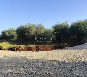 Istra, Vabriga - građevinsko zemljište s projektom - Vabriga, Tar-Vabriga
