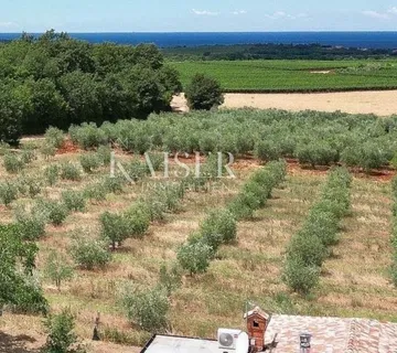 Istra, Novigrad - vila s prekrasnim pogledom na more i maslinike - cover