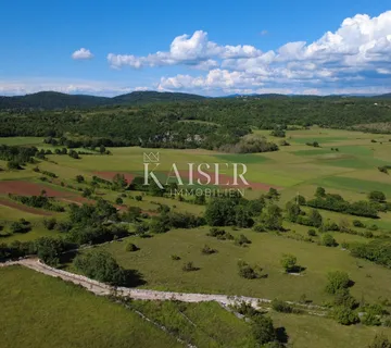 Istra, Žavršje- građevinsko zemljište 800m2 s pogledom na srce Istre - Završje, Grožnjan