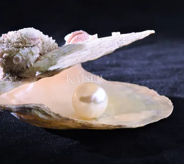 Bakar - Kaiser diskretna prodaja, kuća prvi red do mora - cover