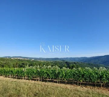 Istra, okolica Buzeta - poljoprivredno zemljište 2,5ha; mogućnost gradnje - cover