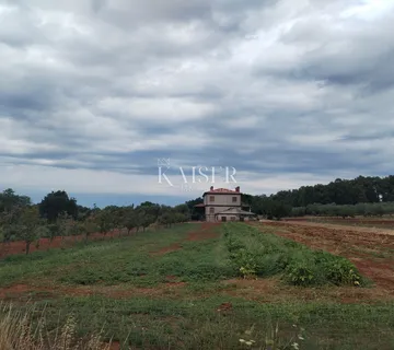 Istra, Umag, kuća 420m2, sa zemljištem 40.000m2