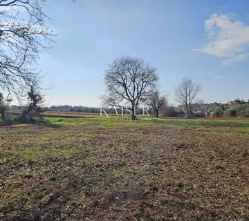 Istra, Novigrad - građevinsko zemljište; 650m2 za dvije stambene jedinice - cover