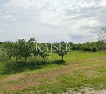 Istra, Tinjan- poljoprivredno zemljište 15.300m² s voćkama