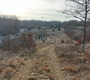 Istra, Pazin -  zemljište za gradnju 54000m2 - cover