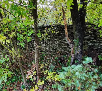 Poreč - poljoprivredno zemljište, 3.500 m2 - cover