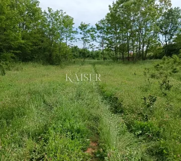 Istra - Barban - građevinsko zemljište, 970 m2 - cover