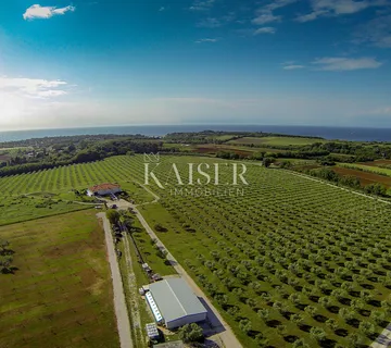Istra, rijetko luksuzno mediteransko imanje od 12 ha u prestižnom okruženju nadomak Umaga
