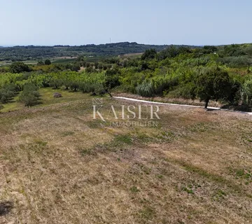 Istra, Buje - građevinsko zemljište, 1.036m2, vrhunska lokacija - cover