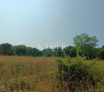 Istra, Peruški- građevinsko zemljište 862m2 s gotovim projektom - cover