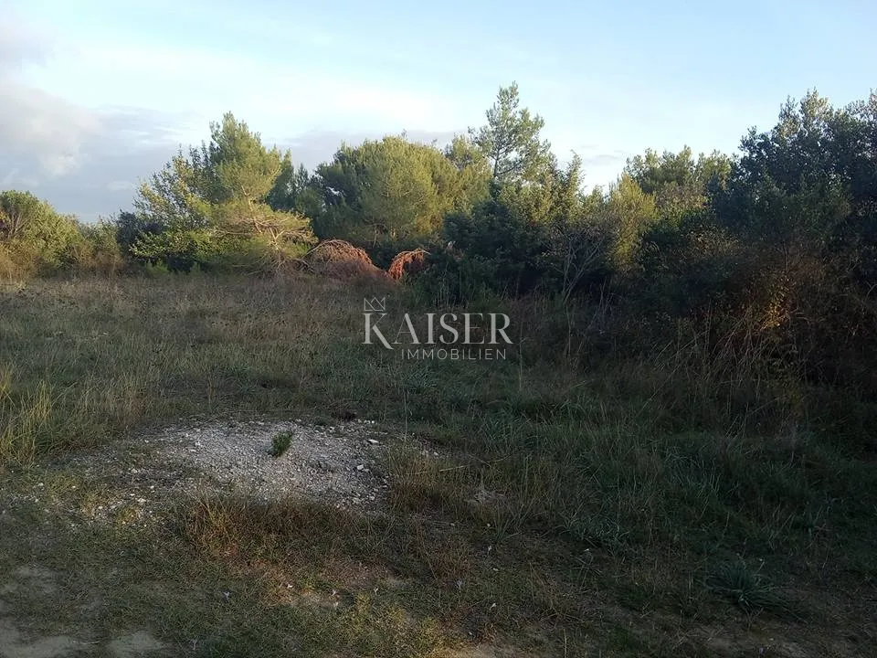 Fotografija