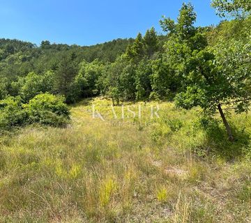 Buzet, Salež – Predivno poljoprivredno zemljište od 33.000 m2 s ostacima velike kuće  - cover