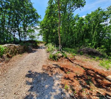 Istra - Lovreč, prekrasno građevinsko zemljište 1006m2 - cover