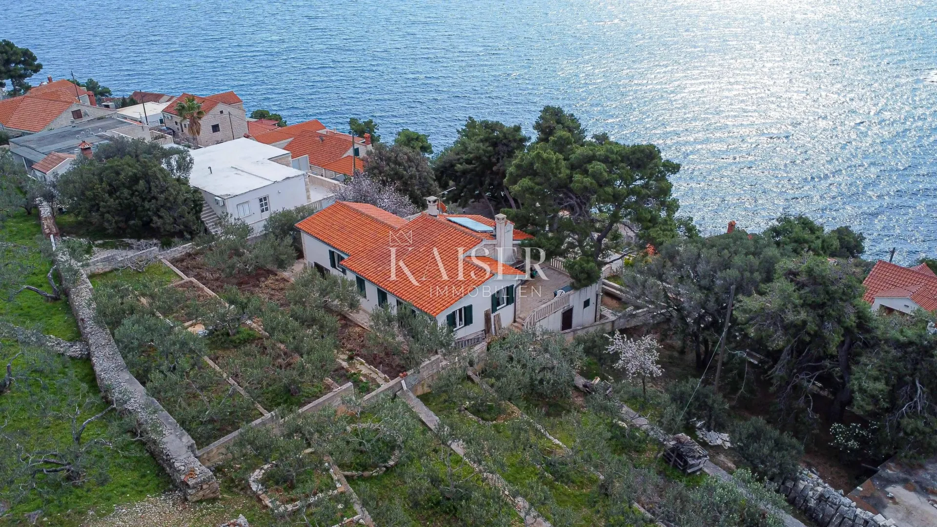 Sumartin - Puntinak , Brač - kamena vila s raskošnom okućnicom ,te  maslinikom u građevinskoj zoni i vezom za plovilo - cover