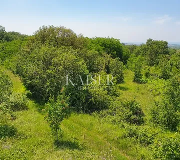 Istra - Poreč, poljoprivredno zemljište 668 m2, 10 km od Poreča.  - cover