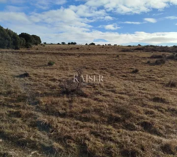 Otok Cres, poljoprivredno zemljište 111.715 m2 - cover