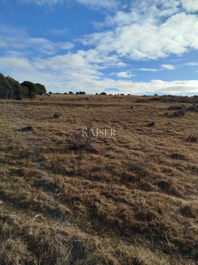 Otok Cres, poljoprivredno zemljište 111.715 m2 - cover