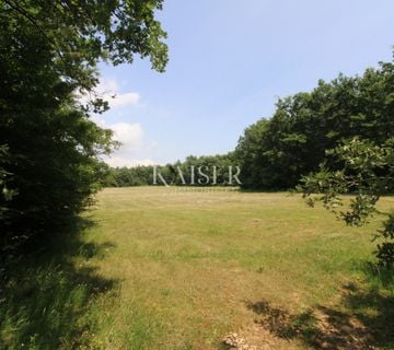 Istra, Labin- poljoprivredno zemljište 13.700m2 s šumom - cover