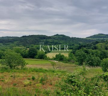 Istra, Motovun okolica, Karojba - građevinsko zemljište, 1990 m2 - cover
