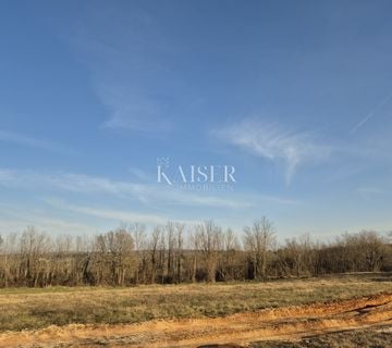 Istra, Pazin - prostrano građevinsko zemljište, sa mnogo potencijala - cover