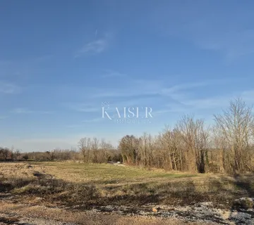 Istra, Pazin - prostrano građevinsko zemljište, 7.400m2 - cover