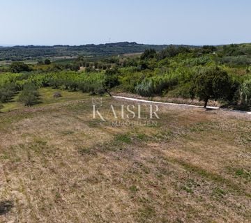 Istra, Buje - građevinsko zemljište, 1036m2, vrhunska lokacija - cover