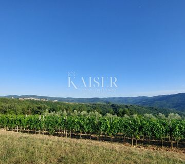 Istra, okolica Buzeta - poljoprivredno zemljište 2,4ha, mogućnost gradnje - cover