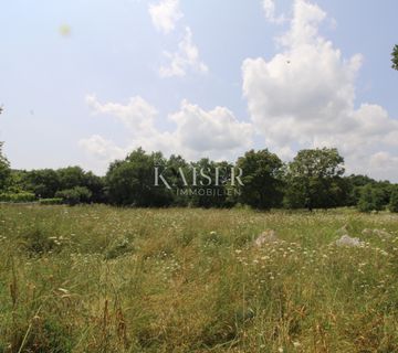 Istra, Labin- poljoprivreno zemljište 11.200m2 pored građevinske zone - cover