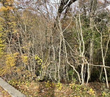 Opatija, Bregi - građevinsko zemljište 1230 m2 - cover