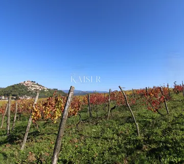 Istra - Motovun, građevinsko zemljište pogled Motovun - cover