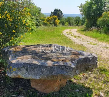 Istra - Kaštelir, poljoprivredno zemljište, šuma 8740 m2 - cover