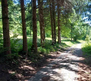 Vrbovsko, Kamensko, netaknuta priroda, zemljište 7176 m2 - cover