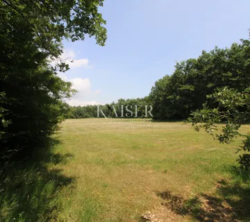 Istra, Labin- poljoprivredno zemljište 13.700m2 s šumom - cover