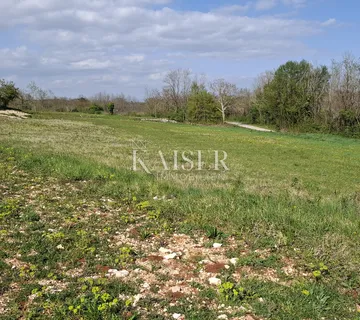 Istra, Pazin - građevinsko zemljište, 7.400m2, 9 građevinskih čestica - cover