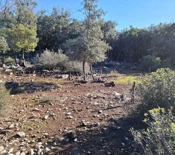Cres, uvala Pogana, poljoprivredno zemljište s prilazom - Punta Križa, Mali Lošinj