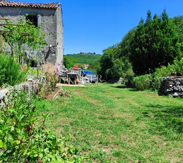 Labin - imanje s kućom, 28.000m2