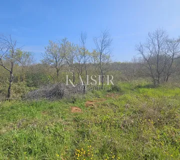 Umag, Istra okolica, poljoprivredno zemljište uz glavnu cestu - Petrovija, Umag