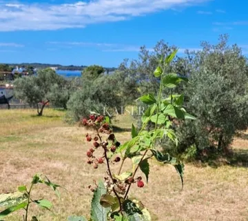 Istra, Fažana - poljoprivredno zemljište sa pogledom na more - cover