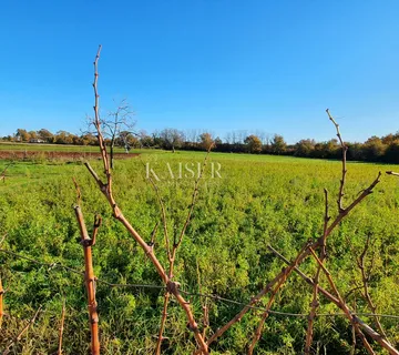 Istra - Lovreč, građevinsko zemljište pogled more - cover