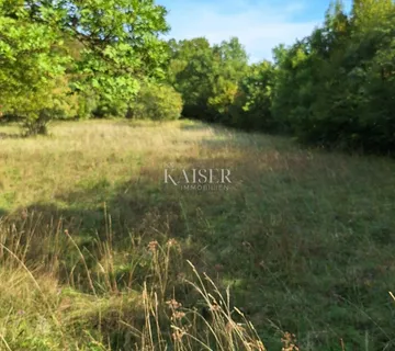 Krasica- građevinski teren 3812 m2, na idealnoj lokaciji za stambenu izgradnju  - cover