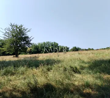 Istra, Buzet, Sveti Donat, poljoprivredno zemljište 36512 m2 - cover