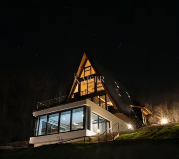 Delnice- planinska vila s bazenom - cover