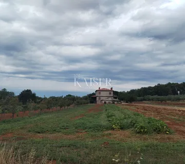 Istra, Umag, kuća 420m2, sa zemljištem 40.000m2 - cover