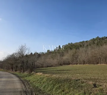 Istra, Motovun - građevinsko zemljište 37000m2  - cover