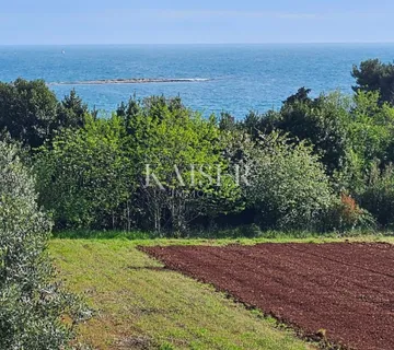 Umag, Zambratija, građevinsko zemljište blizu mora - cover